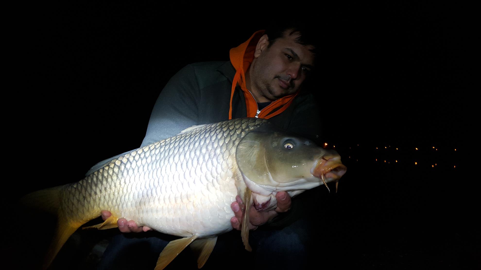 Hermes Peris 26 - 27 martie 2016 - 20160327050823.jpg